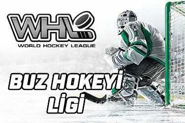 Buz Hokeyi Ligi