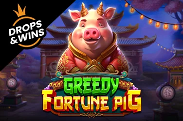 Greedy Fortune Pig